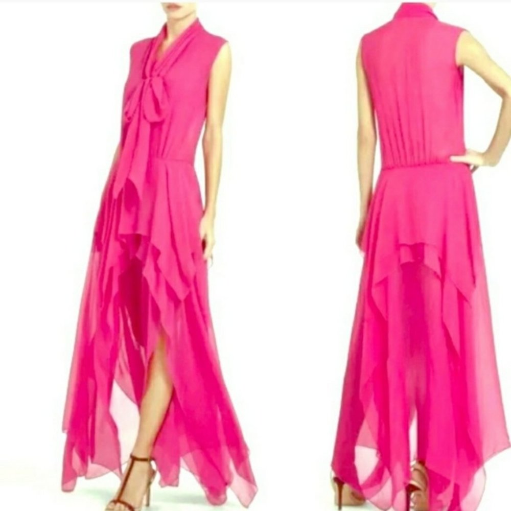 BCBGMAXAZRIA Sheer Pink Begonia Basha Dress Sz XS